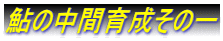 ̒Ԉ琬̈